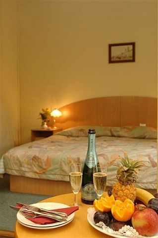 Platanus hotel Budapest - double room - hotel Platanus - Cheap hotels Budapest